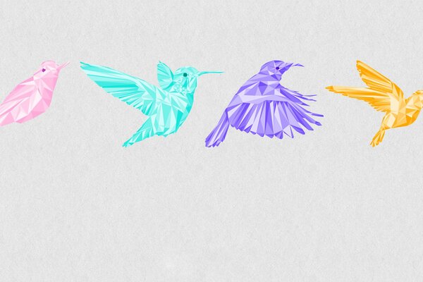 Vol de colibris multicolores dans le graphique