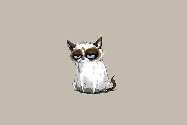 Animation, angry cat, beige background