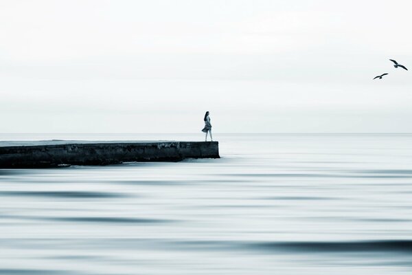 Silhouette d une jeune fille en robe sur la jetée. Mouettes sur l eau