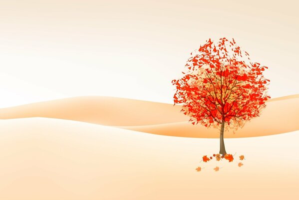 Autumn tree in the sandy desert