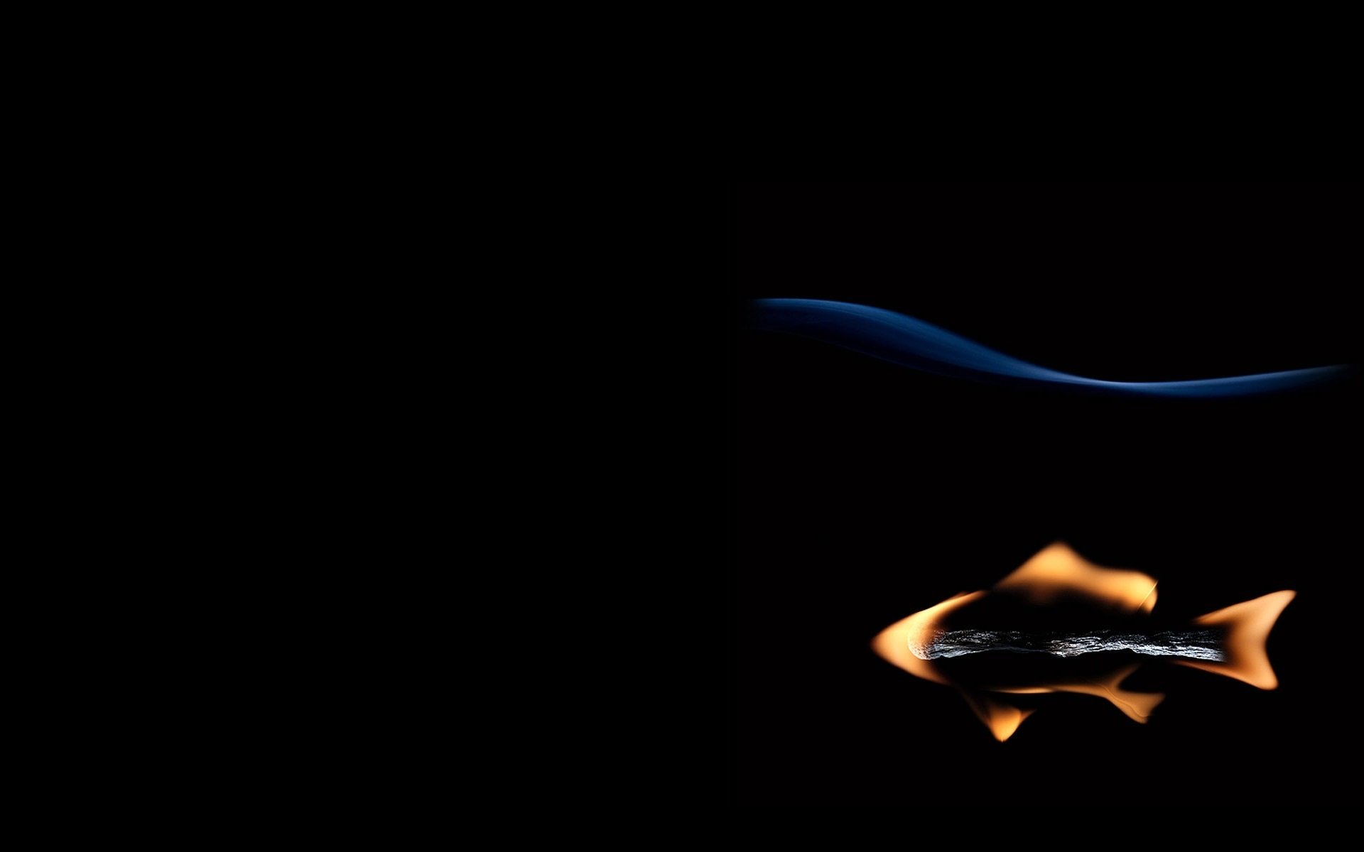 creative fish fish match fire black background author stanislav aristov