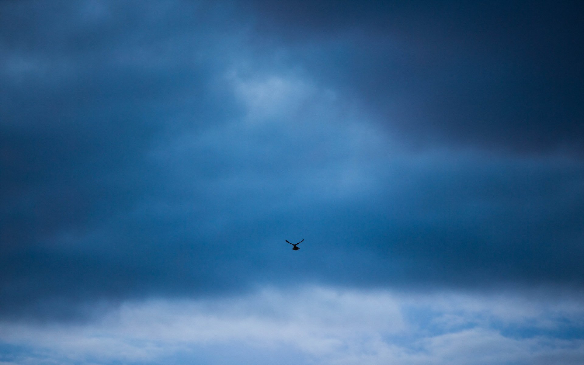 vogel himmel minimalismus