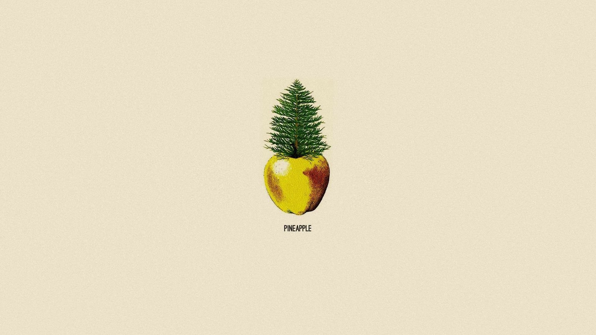 minimalismo pino manzana piña