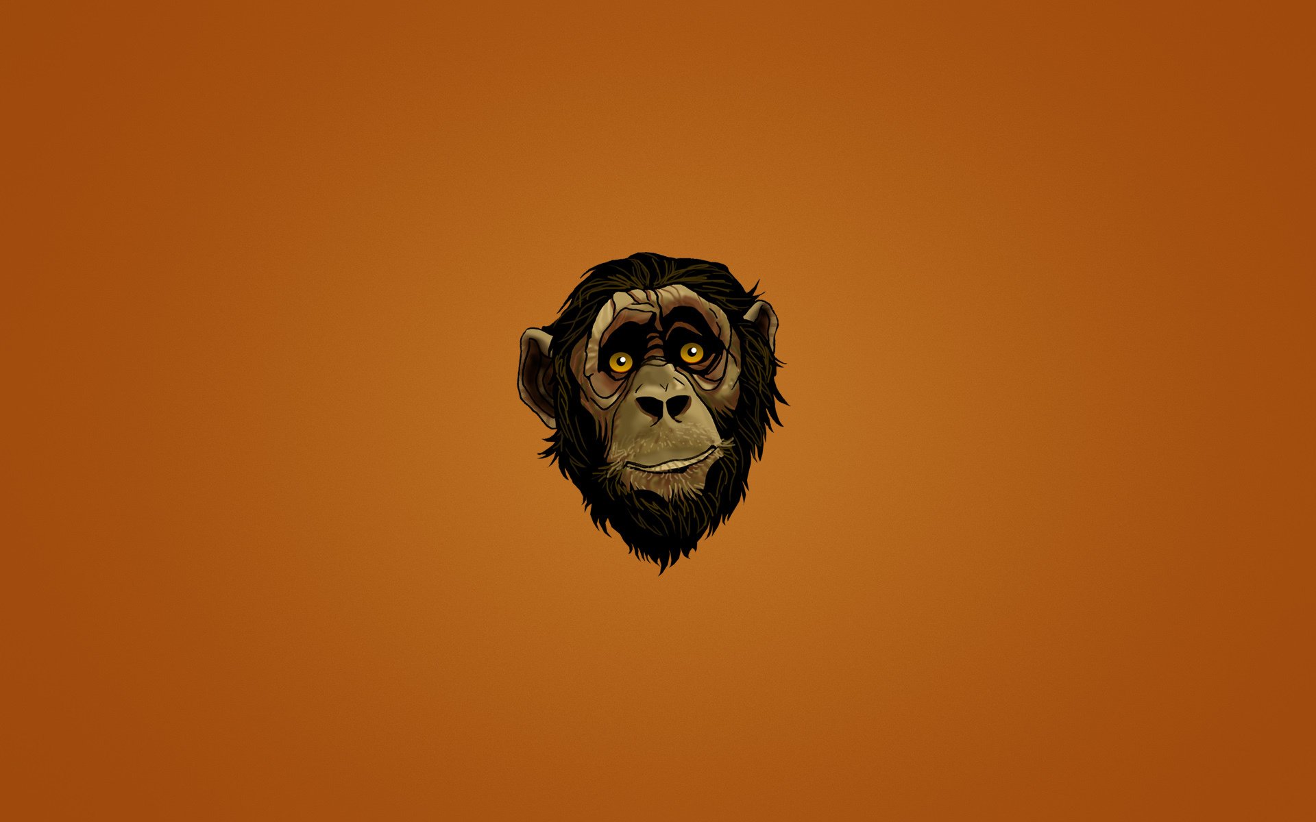 monkey muzzle head face look dark background minimalism