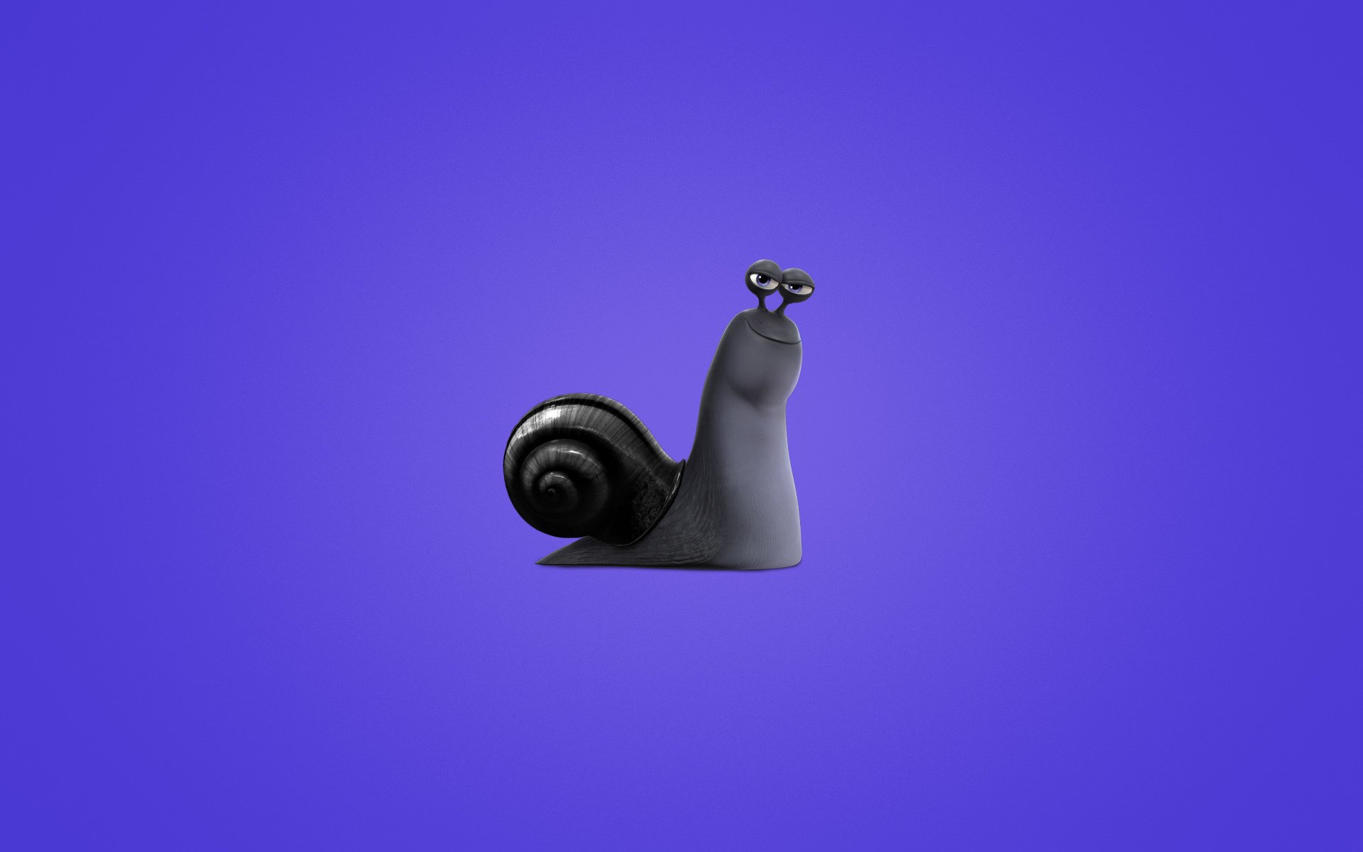 turbo snail purple background minimalism