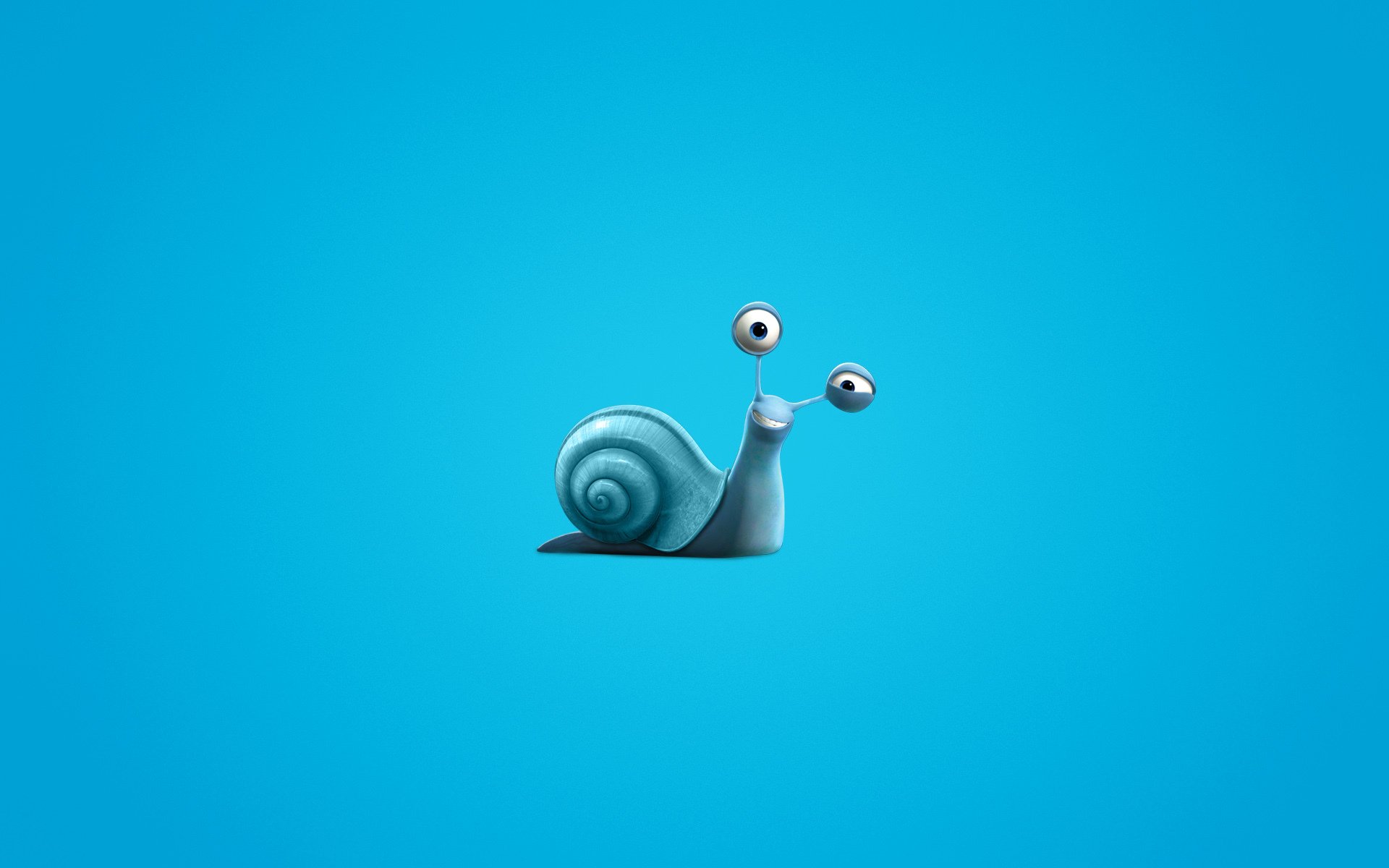 turbo caracol fondo azul minimalismo