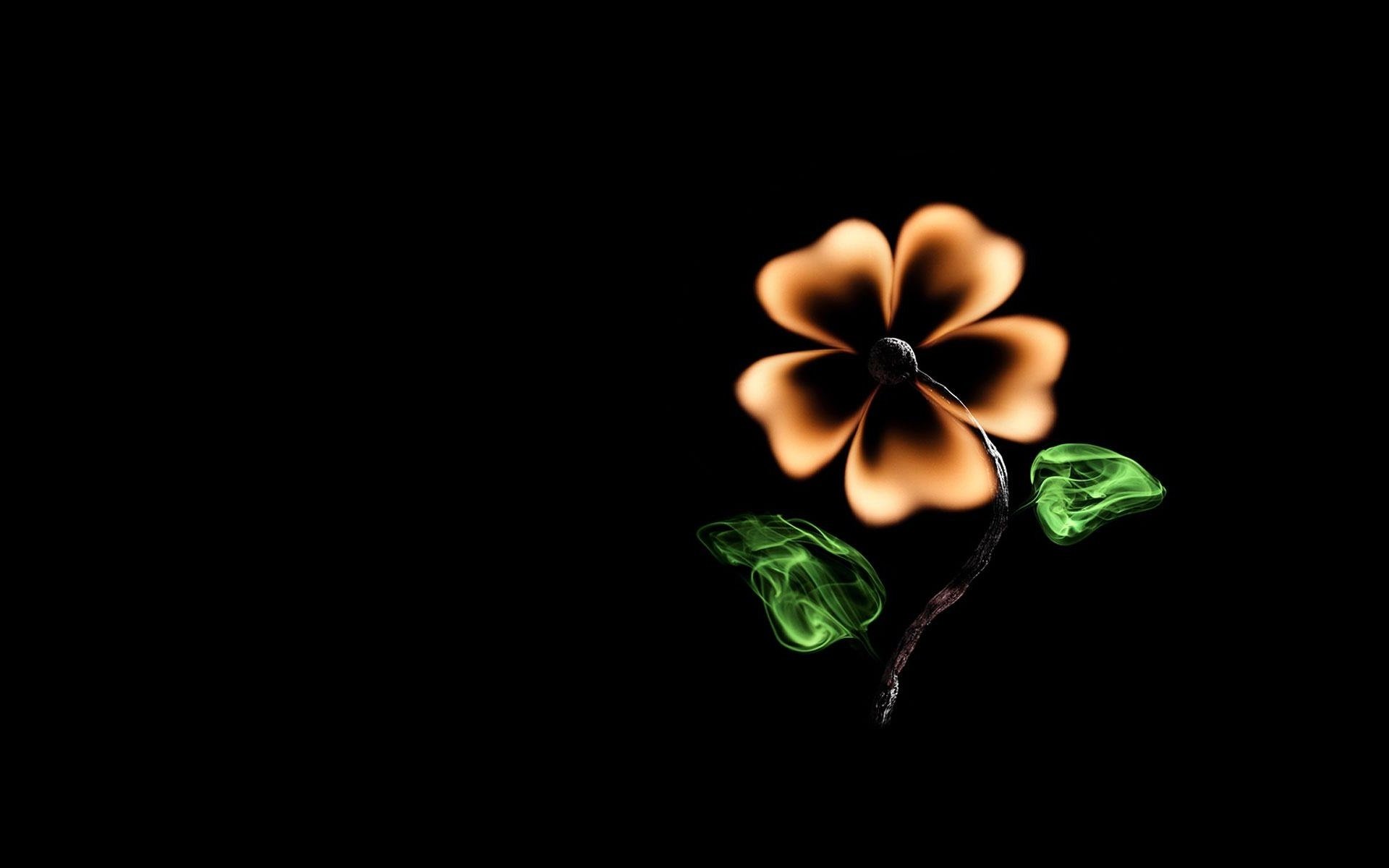 creative flower match fire minimalism black background