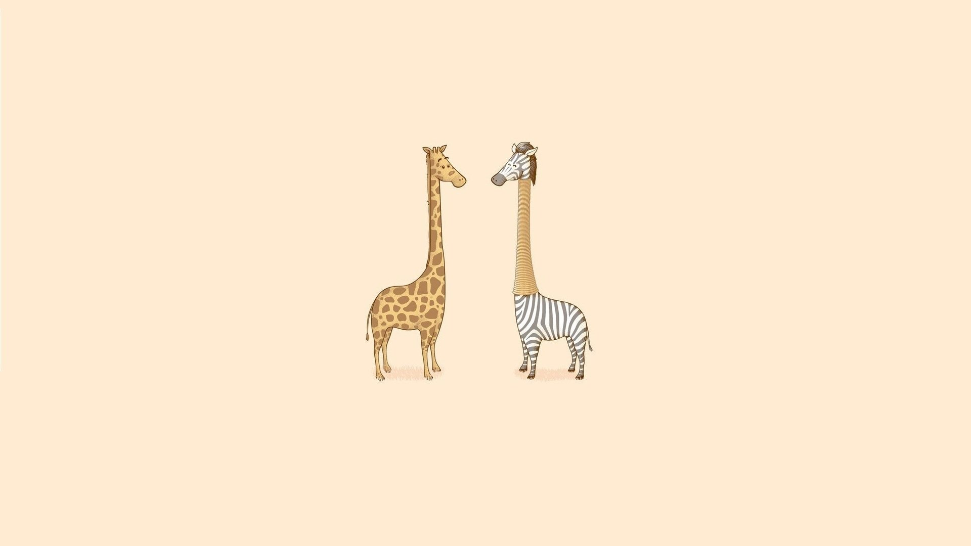 art humour minimalisme girafe zèbre