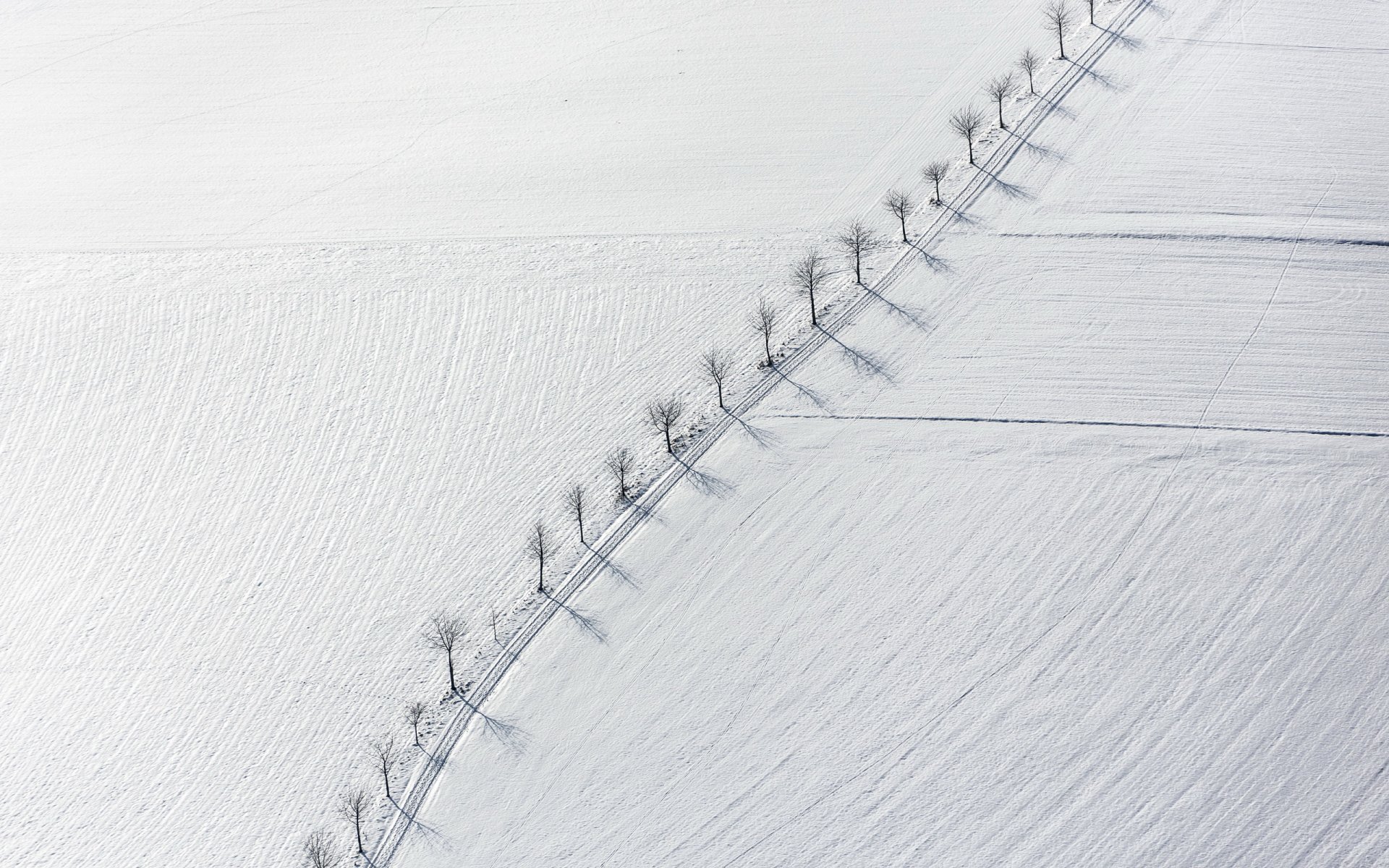 campo árboles nieve paisaje minimalismo