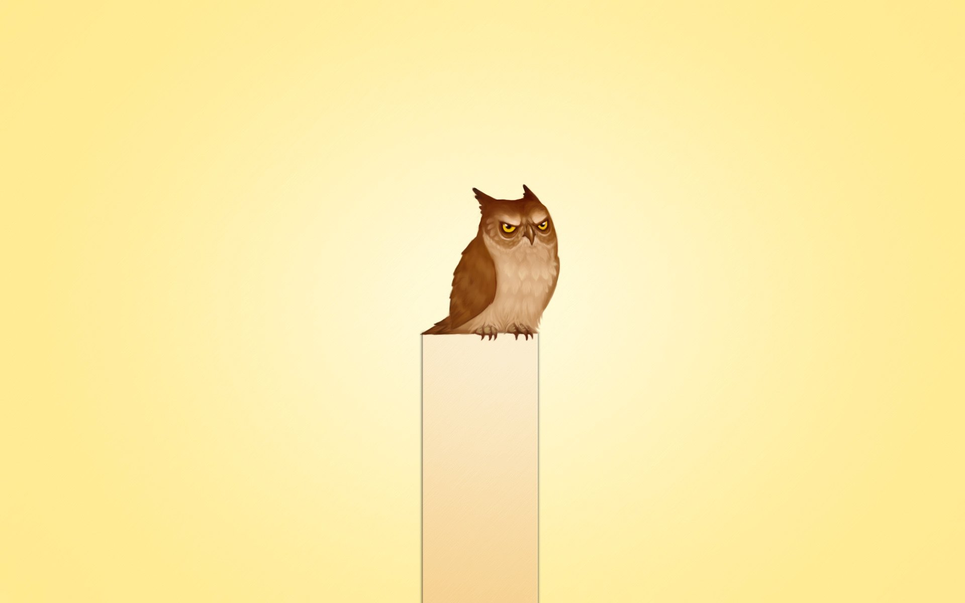 owl owl gloomy sitting animal bird minimalism