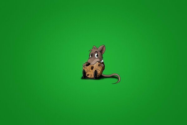 A small rodent eating cookies on a green background