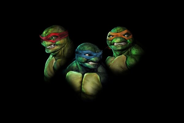 Illustration with three teenage mutant ninja turtles on a dark background