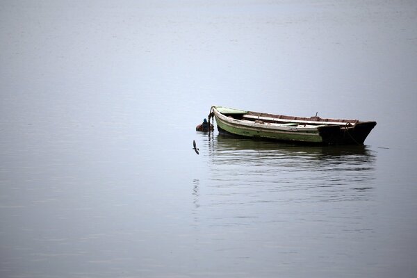 Bateau solitaire au milieu du lac