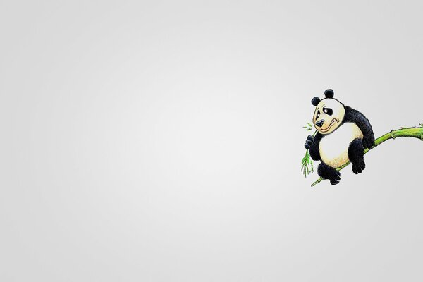 Panda auf einem Zweig auf weißem Hintergrund im minimalistischen Stil