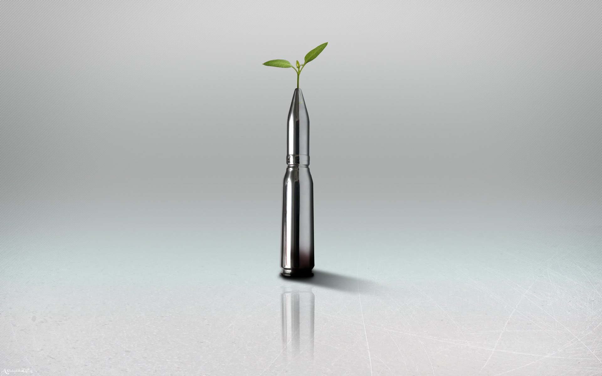 minimalismo bala planta