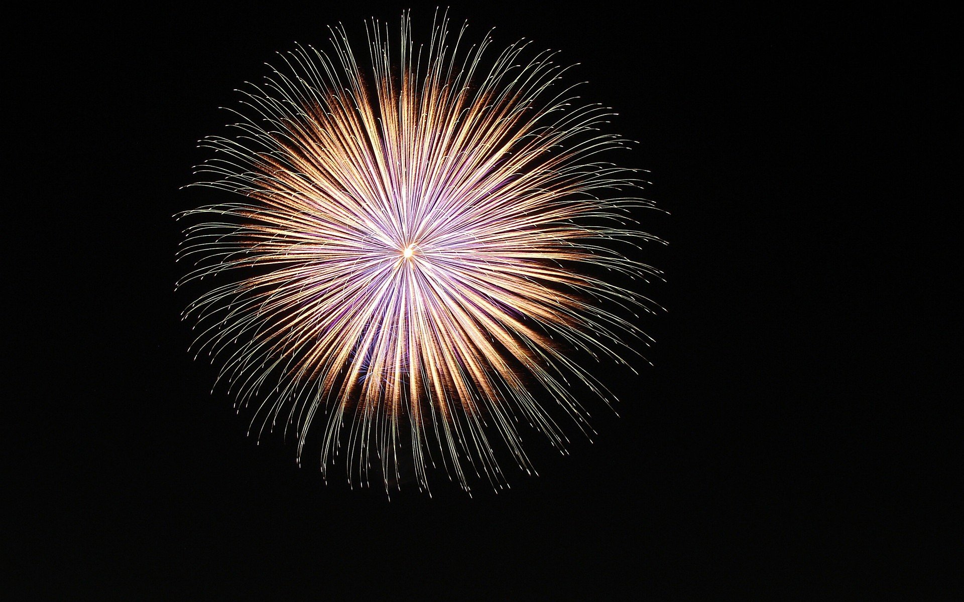 fondo oscuro fuegos artificiales cielo noche luces flor