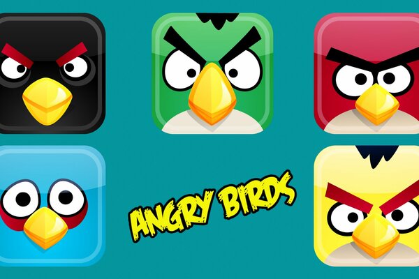 Birds angry birds icons on turquoise background