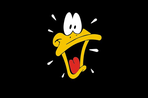 Funny daffy duck on a black background