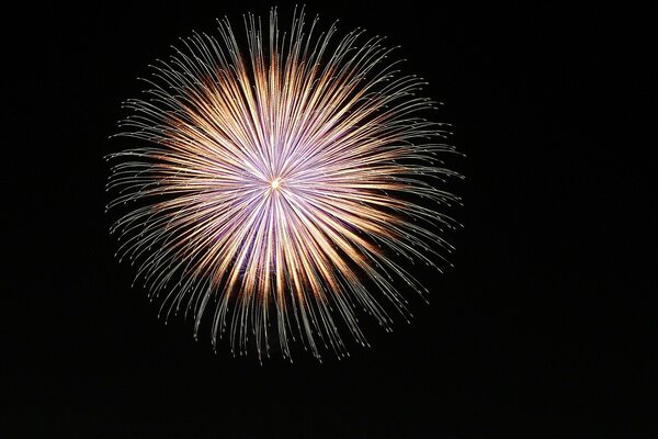 Fireworks from purple to red on a black background