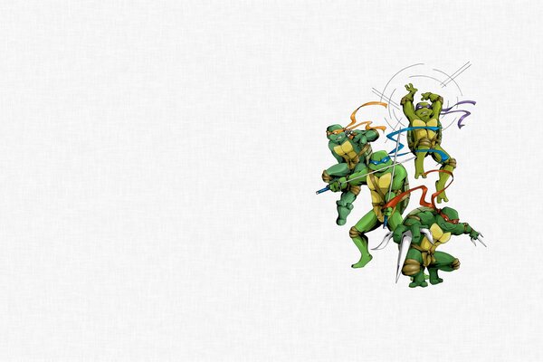 Teenage Mutant Ninja Turtles on a white background