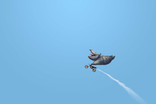 Happy rhinoceros on a motorcycle in flight