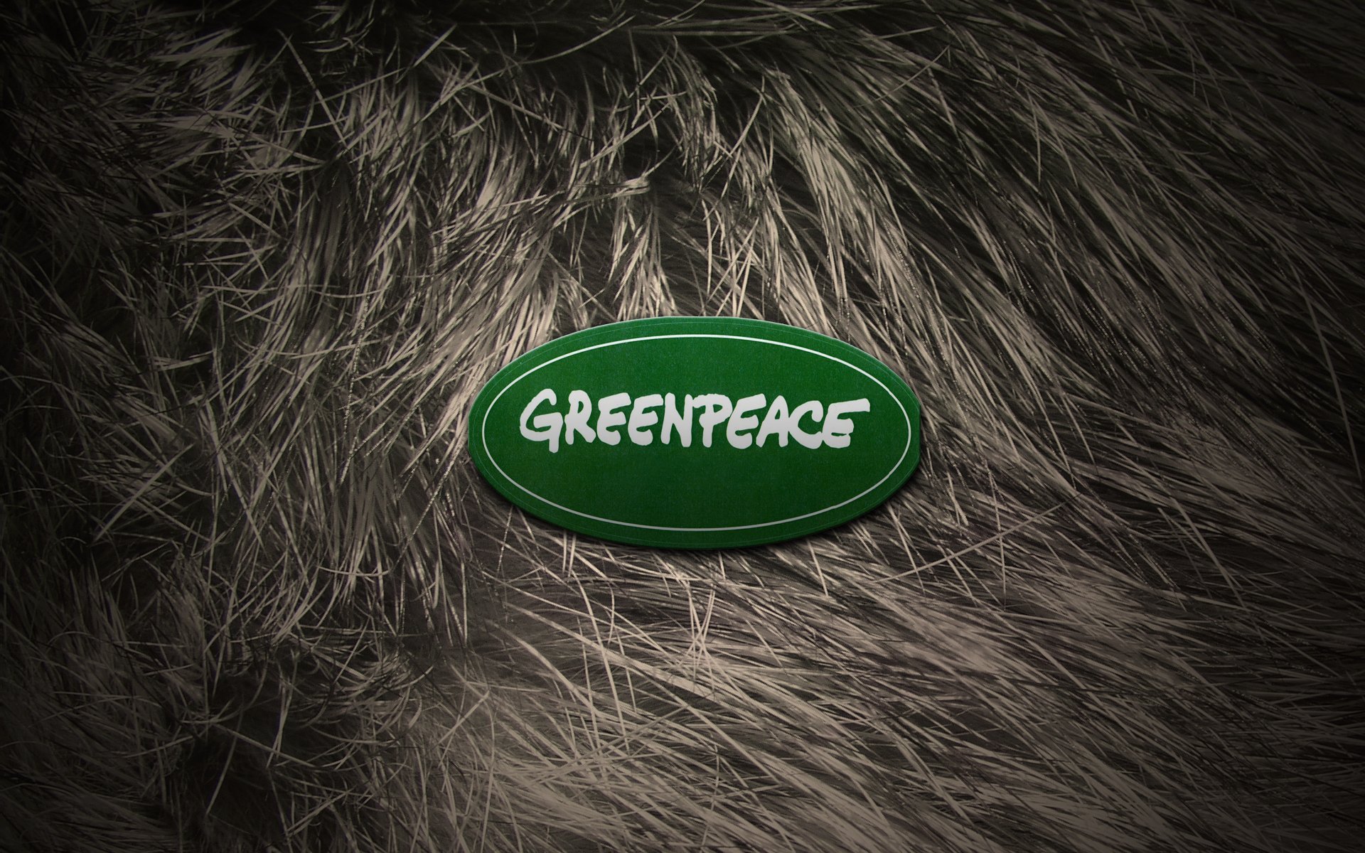 greenpeace logo laine fourrure animaux nouvel an 2012 fille nue