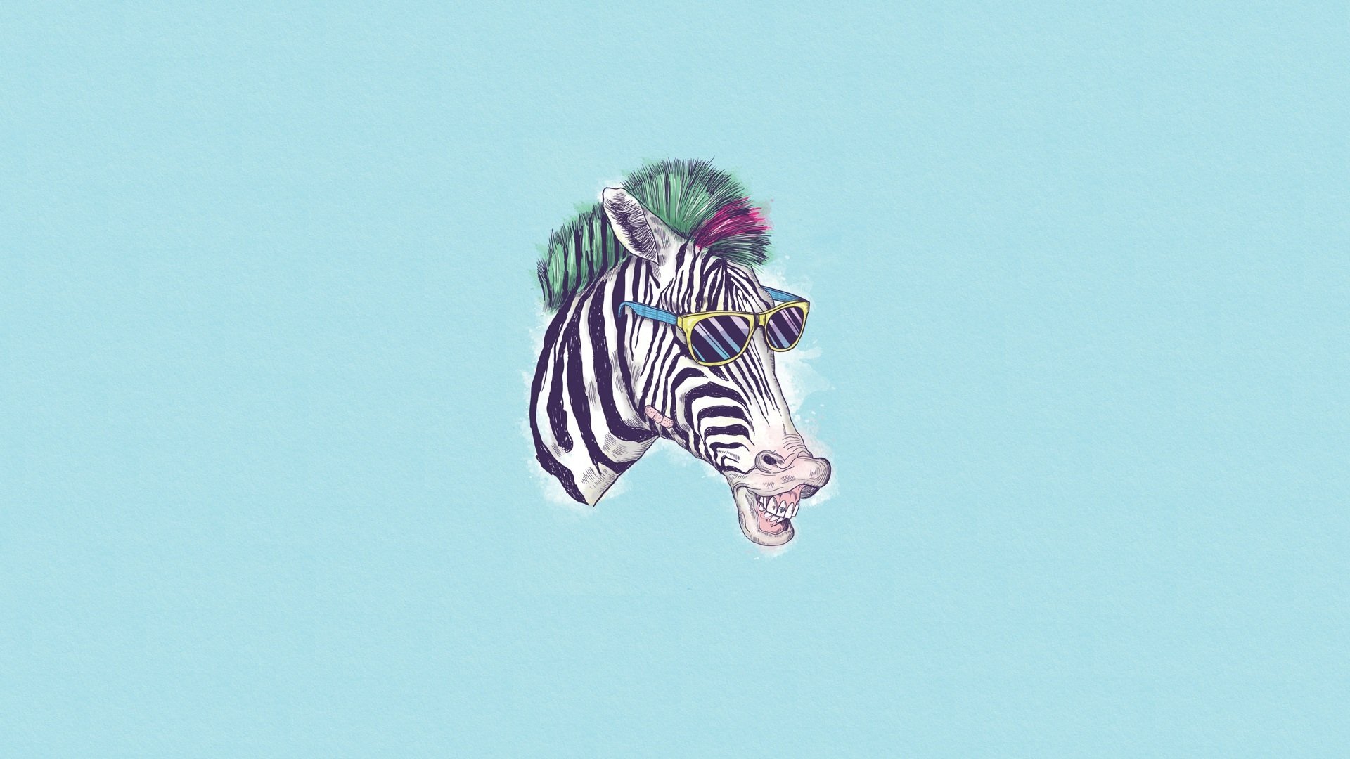 zebra humor brille minimalismus kunst