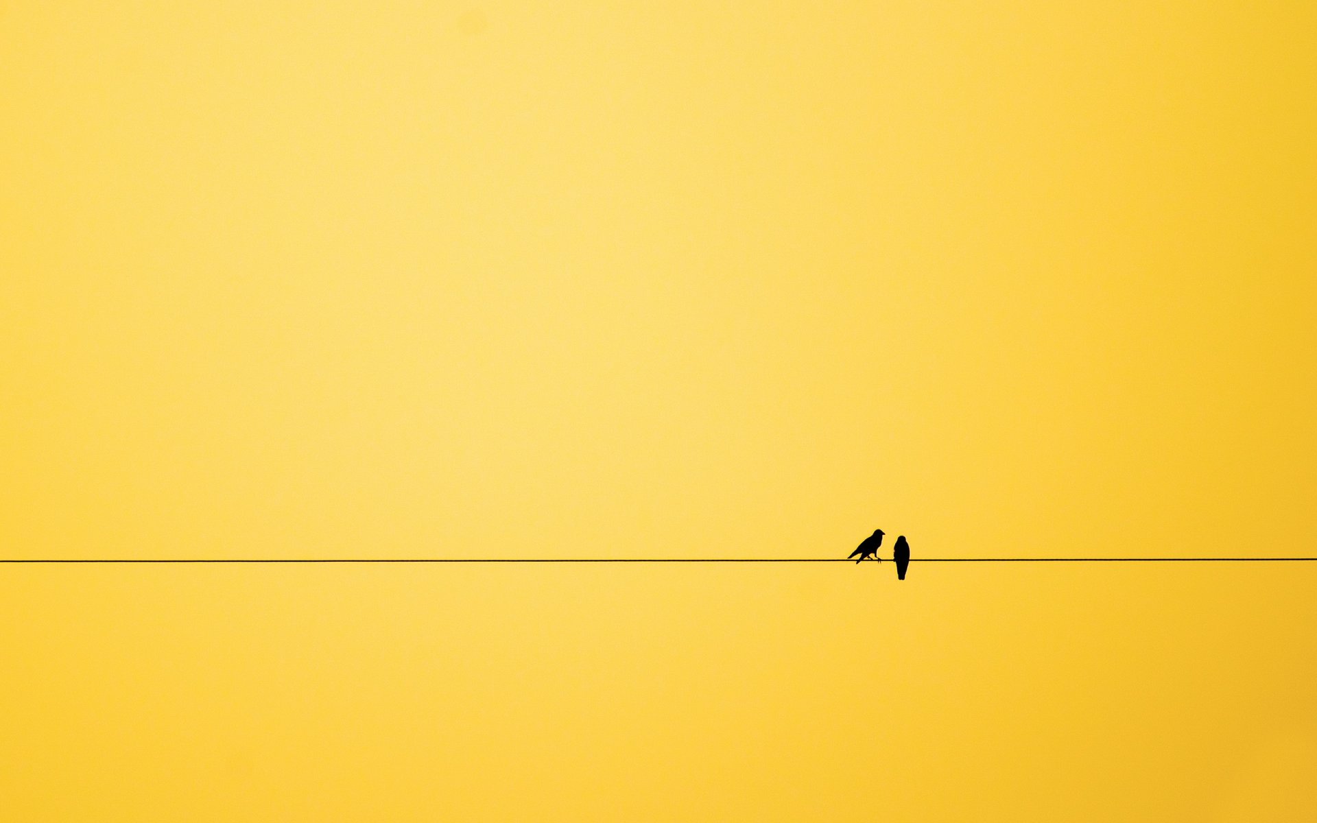 minimalisme oiseaux fond