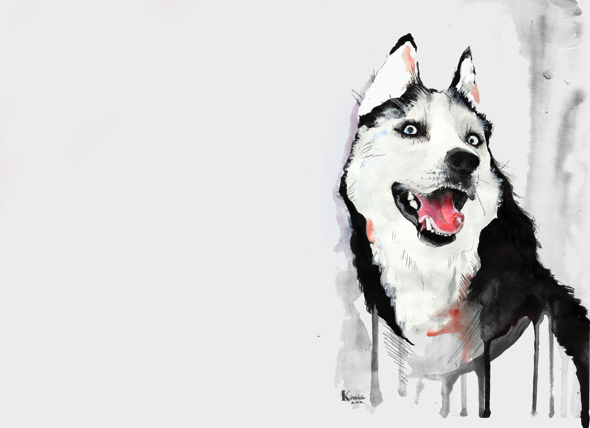 perro husky dibujo acuarela husky lengua