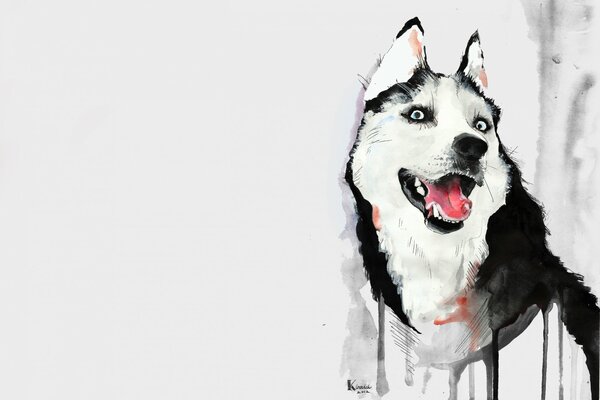 Disegno ad acquerello. Husky a bocca aperta