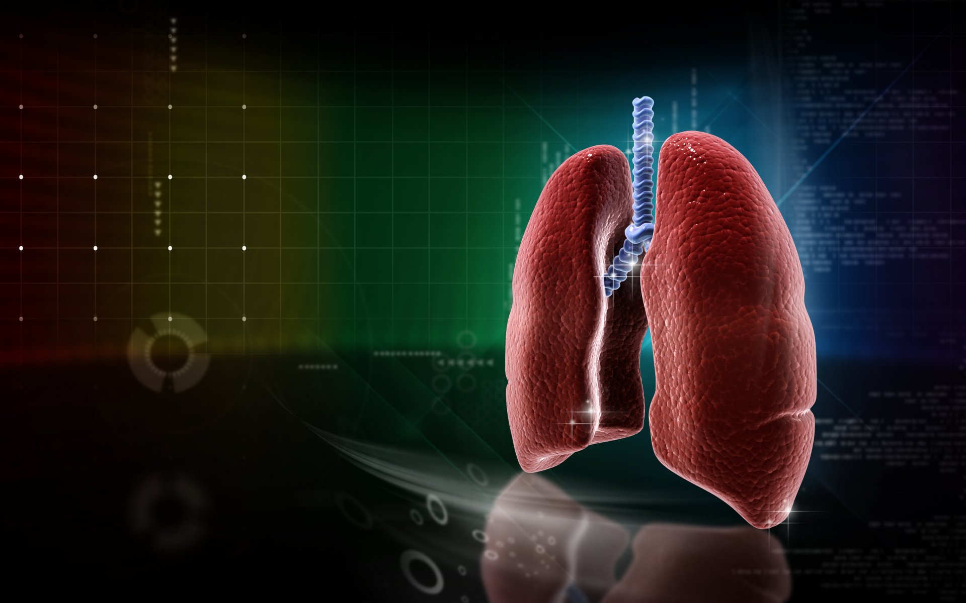 medizin lunge anatomie