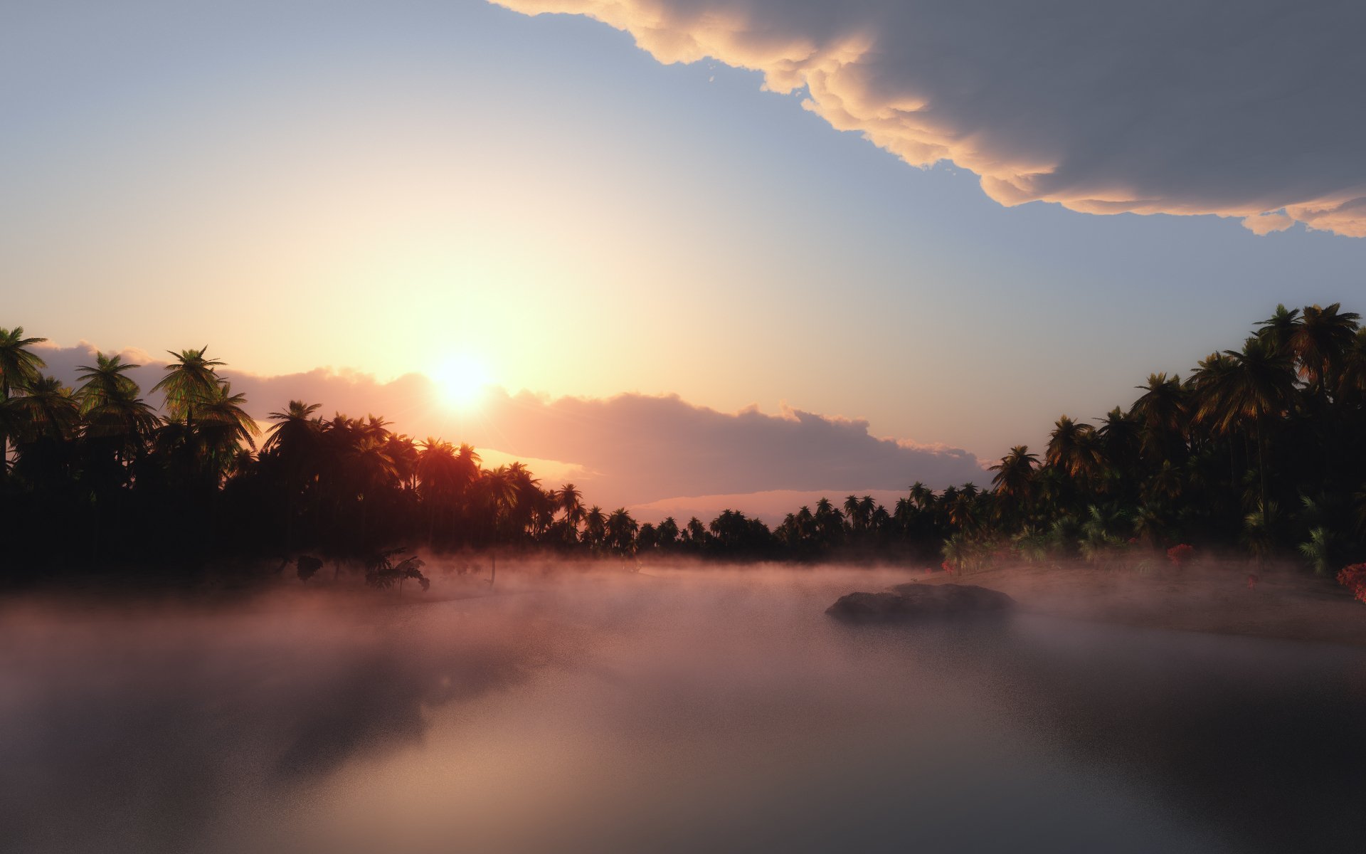 palmiers brouillard soleil ciel nuages