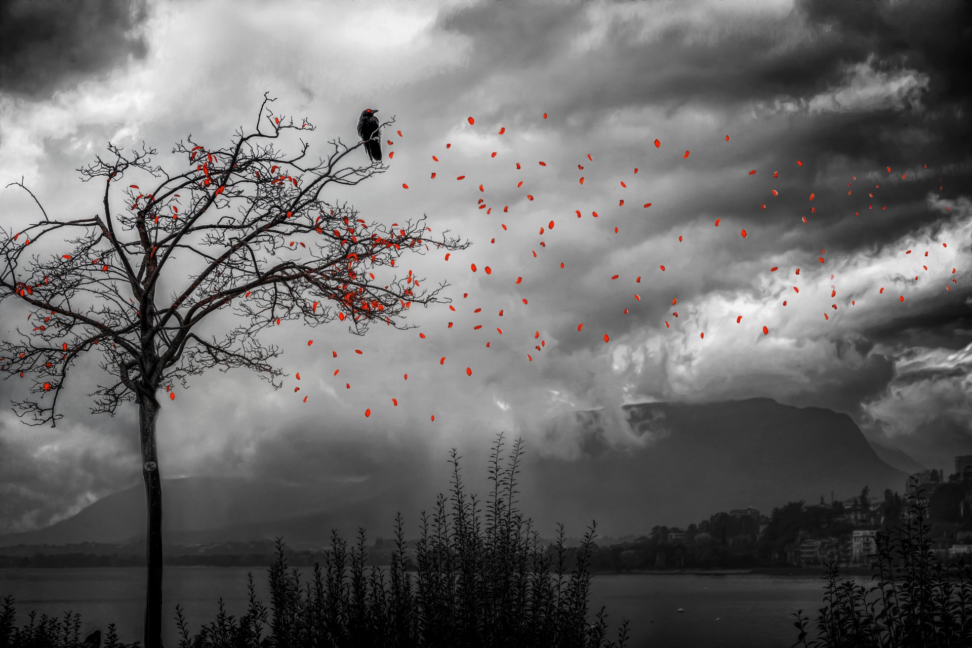 ido pero no olvidado árbol pájaro hojas caída de hojas procesamiento