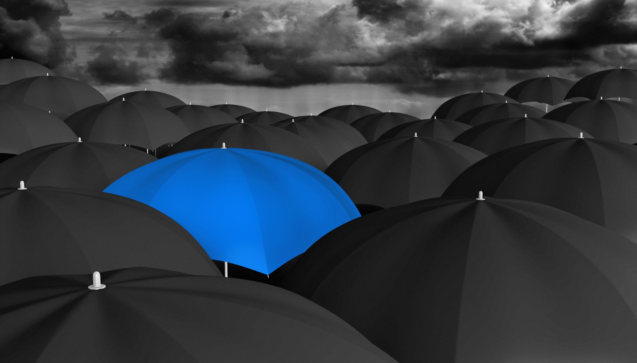 umbrella blue black many