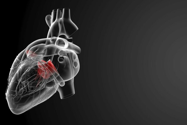 Graphique de l esthétique, en blanc sur fond noir, le coeur avec le pouls de sang