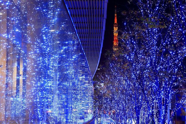 Les arbres décorés de guirlandes et de la rue