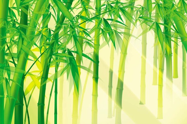 Sunlight through bamboo greenery