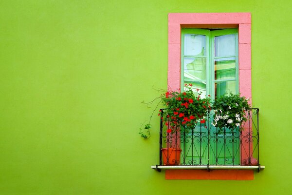 Belles fleurs sur le balcon