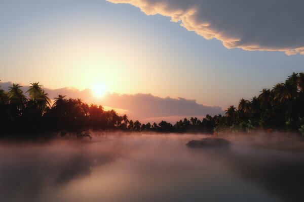 El sol a través de la niebla y las palmeras