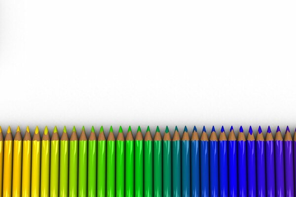 Multicolored pencils on a white background