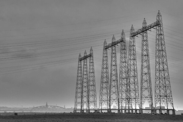 Ligne électrique noire et blanche