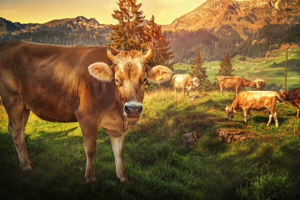 Imagen procesada de montañas y vacas