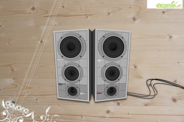 Two speakers on plywood are loud and ugly