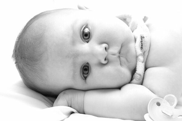 Newborn baby with a pacifier black and white photo