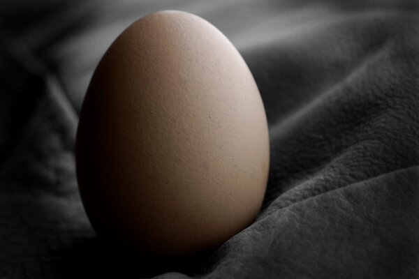 Chicken egg on dark fabric