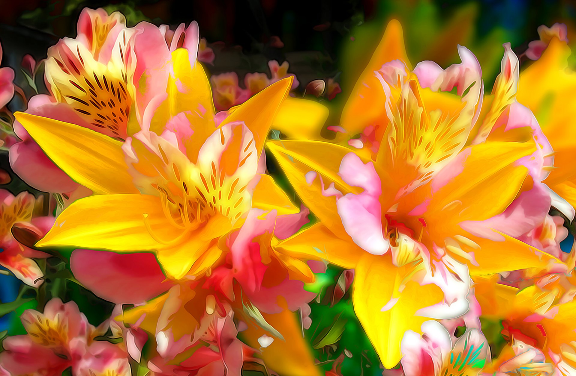 des fleurs des lys des pétales des lignes parterre de fleurs jardin