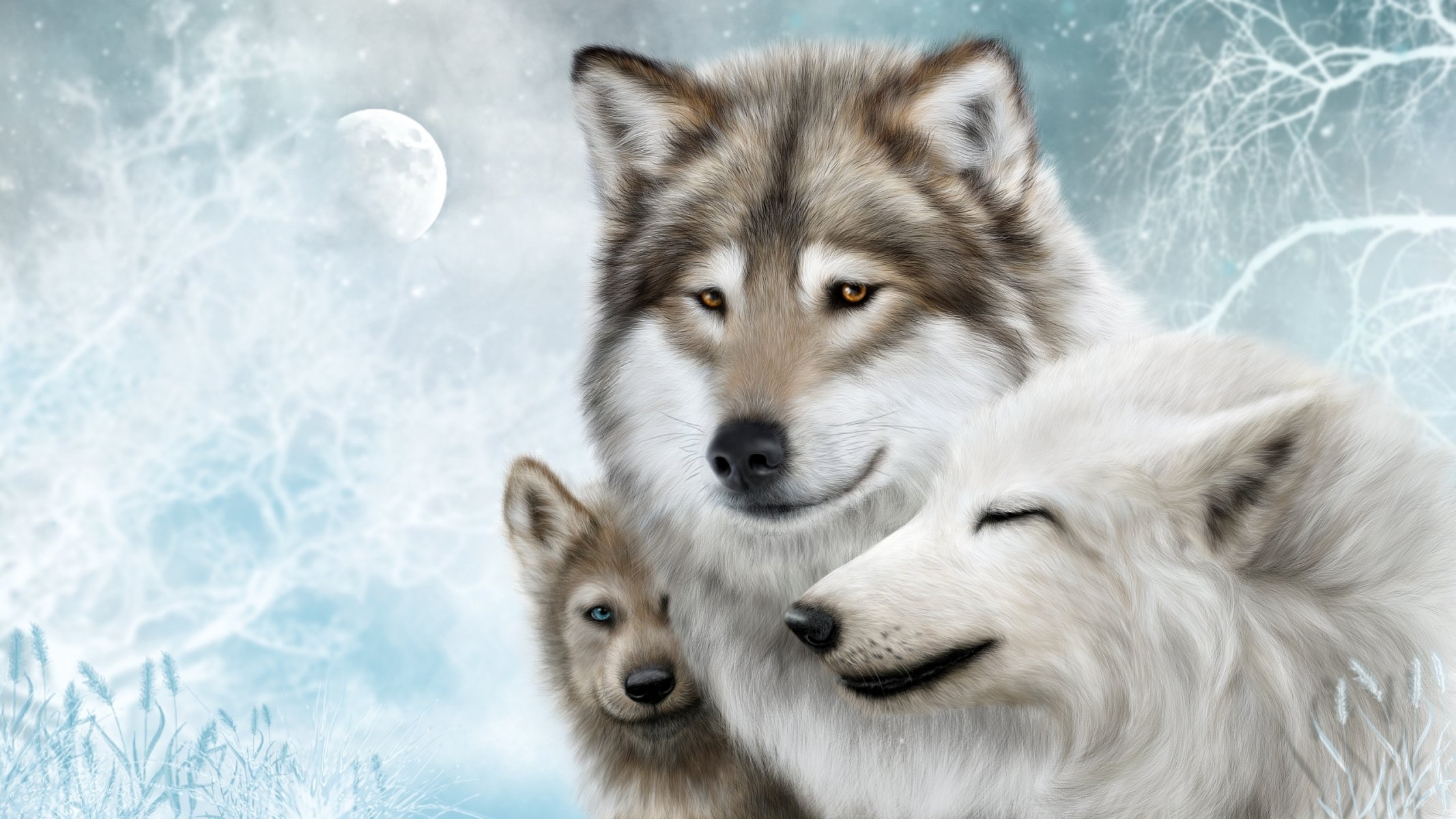 wolves family predators moon