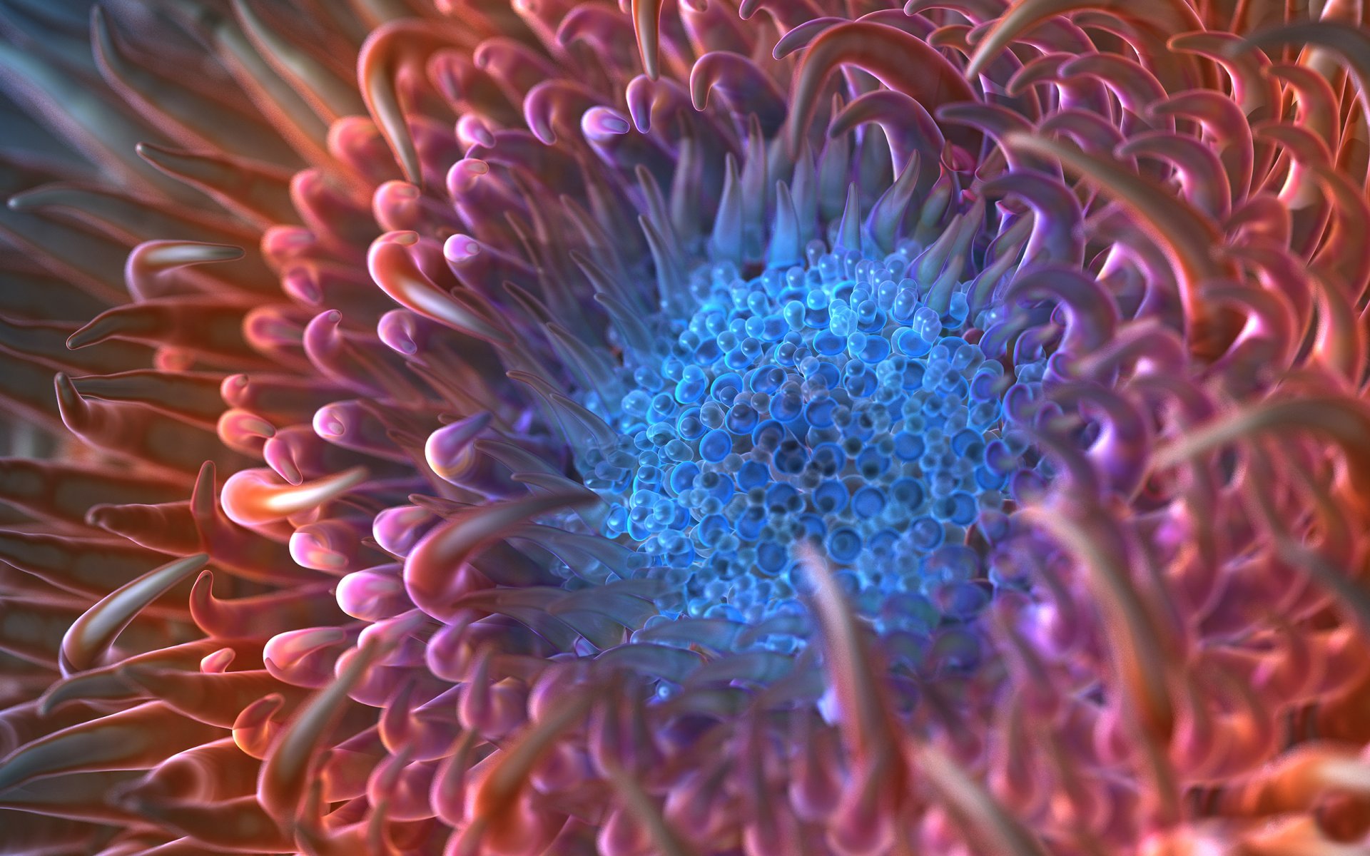 anemone tentacles render macro