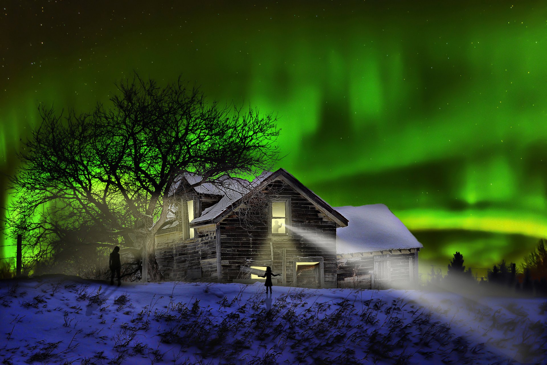 the visitors noche casa aurora boreal siluetas