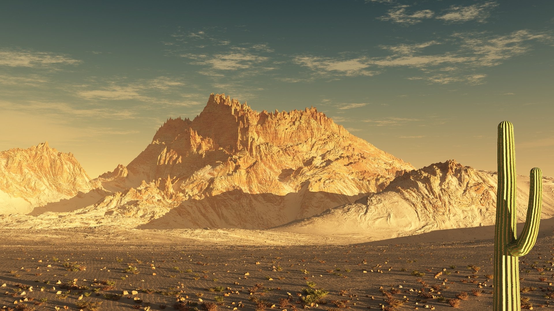 mountain cactus stones light sky cloud